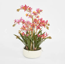 將圖片載入圖庫檢視器 VICKY YAO - Artificial Cymbidium Orchid Arrangement Realistic Pink &amp; Orange Faux Flowers in White Pot Modern Home Decor Centerpiece