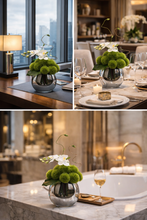 Laden Sie das Bild in den Galerie-Viewer, VICKY YAO Design Aesthetic - Artificial Green Moss Ball Floral Arrangement with Orchid, Modern Faux Flower Decor in Glass Vase L18 x H26cm