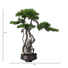 將圖片載入圖庫檢視器 VICKY YAO Fine Bonsai - Exclusively Designed Realistic Bonsai Stone – Handcrafted Artistic Creation 56 x 60cmH