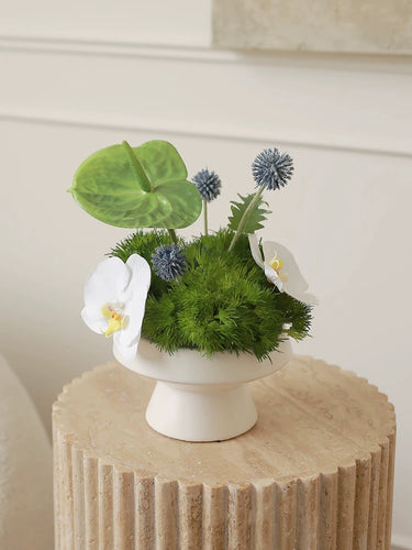 VICKY YAO Faux Floral - Exclusive Design Natural Touch Artificial French White Orchid Arrangement 25 x 30cm H