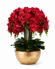 Load image into Gallery viewer, VICKY YAO - Large Luxury Natural Touch Red Orchid Arrangement in Handcrafted Shell Mosaic Planter Hotel Lobby Floral Installation H30.7in