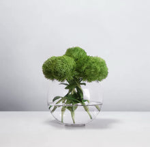 画像をギャラリービューアに読み込む, VICKY YAO Design Aesthetic - Exclusively Designed Green Real Touch Dianthus Arrangement with Lifelike Texture