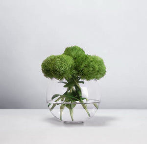 VICKY YAO Design Aesthetic - Exclusively Designed Green Real Touch Dianthus Arrangement with Lifelike Texture
