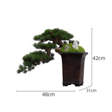 Laden Sie das Bild in den Galerie-Viewer, VICKY YAO - Luxury Realistic Artificial Bonsai Pine Tree with Moss &amp; Rock | Faux Plant in Planter | Japanese Zen Home Decoration 48x31x42cmH