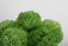 画像をギャラリービューアに読み込む, VICKY YAO Design Aesthetic - Exclusively Designed Green Real Touch Dianthus Arrangement with Lifelike Texture