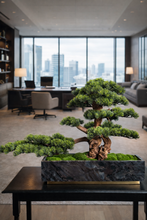 Load image into Gallery viewer, VICKY YAO Fine Bonsai - Realistic Hotel Style Bonsai Art with Marble Base L90xW30xH62cm