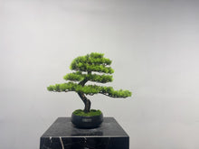 Load image into Gallery viewer, VICKY YAO Faux Bonsai -  Handmade Artificial Juniper Bonsai Art in Realistic Ceramic Pot 39x22x38cmH