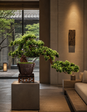 Laden Sie das Bild in den Galerie-Viewer, VICKY YAO Bonsai Art - Exclusive Design Oriental aesthetics faux Realistic Bonsai Art In Royal Chinoiserie Style Yixing Clay Pot