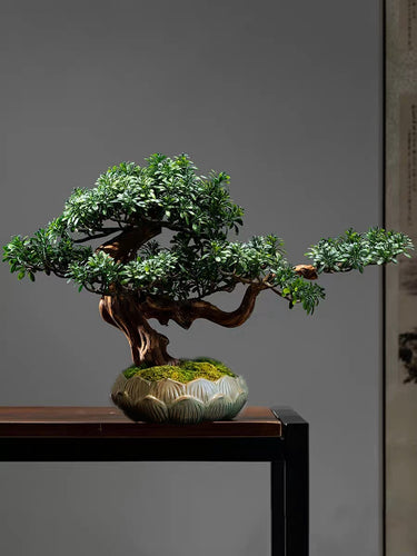 VICKY YAO - Handmade New Arrival Artificial Bonsai Art Gift for Him in Lotus Medium Pot 50x19x33cmH