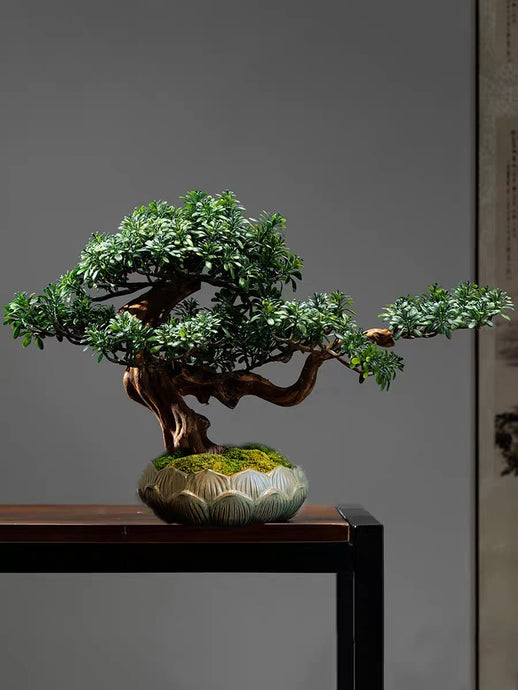 VICKY YAO - Handmade New Arrival Artificial Bonsai Art Gift for Him in Lotus Medium Pot