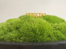 將圖片載入圖庫檢視器 VICKY YAO Design Aesthetic - Real Preserved Moss Black Bowl Centerpiece,Wabisabi Style The FOREST Black Bowl Moss Centerpiece