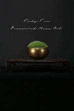 Load image into Gallery viewer, VICKY YAO - New Arrival Exclusive Design Real Preserved Moss Brass Bowl Art