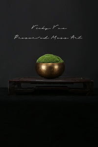 VICKY YAO - New Arrival Exclusive Design Real Preserved Moss Brass Bowl Art