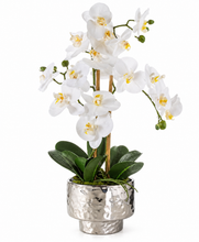 Laden Sie das Bild in den Galerie-Viewer, VICKY YAO Faux Floral - Artificial Phalaenopsis Orchid Arrangement In Silver Pot
