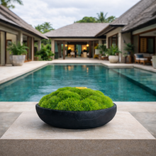 將圖片載入圖庫檢視器 VICKY YAO Design Aesthetic - Real Preserved Moss Black Bowl Centerpiece,Wabisabi Style The FOREST Black Bowl Moss Centerpiece