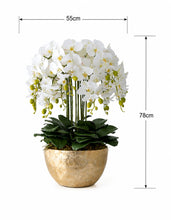 画像をギャラリービューアに読み込む, VICKY YAO Design -Bespoke Luxury Floral Design Elegant Shell-Finish Planter with 18 Stem Real Touch Orchid Arrangement W55xH78cm