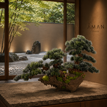 Load image into Gallery viewer, VICKY YAO Fine Bonsai - Exclusively Designed Unique Handcrafted Century-Old Driftwood Realistic Bonsai Art Sculpture L130xH85cm