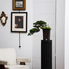 Laden Sie das Bild in den Galerie-Viewer, VICKY YAO - Luxury Realistic Artificial Bonsai Pine Tree with Moss &amp; Rock | Faux Plant in Planter | Japanese Zen Home Decoration 48x31x42cmH