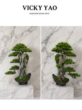 Load image into Gallery viewer, VICKY YAO Fine Bonsai - Roots Over Rock Bonsai Art Sculpture, Realistic Japanese Bonsai Tree, Preserved Moss, Luxury Zen Home &amp; Hotel Decor