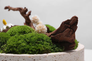 VICKY YAO Preserved Moss - Love Nature Real Preserved Moss In Marble Base