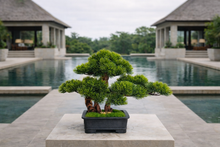 画像をギャラリービューアに読み込む, VICKY YAO Design - Premium Small Artificial Bonsai for Luxury Interiors 4 feet Pot L39xW19xH29cm