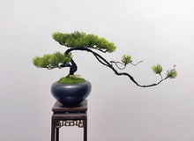 画像をギャラリービューアに読み込む, VICKY YAO Faux Bonsai - Natural Fresh Green Pine Artificial Bonsai Arrangement &amp; Luxury Bonsai Fragrance 50ml