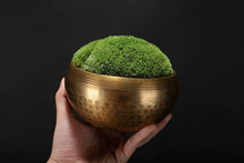 Load image into Gallery viewer, VICKY YAO - New Arrival Exclusive Design Real Preserved Moss Brass Bowl Art