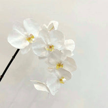 Load image into Gallery viewer, VICKY YAO Faux Floral - A single stem of Phalaenopsis orchid with a realistic touch, available in different colors