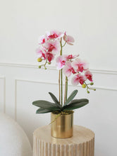 Laden Sie das Bild in den Galerie-Viewer, VICKY YAO Faux Floral -Real Touch 2 Stem Artificial Orchid Golden Pot