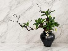 Load image into Gallery viewer, VICKY YAO Faux Bonsai - Luxury Artificial Bonsai Art in Black Vase – Modern Office Decor Statement Piece L75 x H58cm