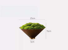 Load image into Gallery viewer, VICKY YAO - Natural Roman Travertine Bowl with Preserved Moss Wabi-Sabi Aesthetic Home Decor | Handmade Zen Art W15xH25cm