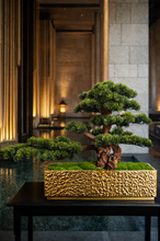 Laden Sie das Bild in den Galerie-Viewer, VICKY YAO-Luxury Realistic Bonsai Tree Handcrafted Artificial Bonsai Art Hammered Gold Planter Hotel Lobby Decor Luxury Home Decor