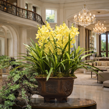 Load image into Gallery viewer, VICKY YAO Design - Yellow Phalaenopsis Orchid Arrangement, 70cm Tall Artificial Flower Bonsai, Luxury Home Décor Floral Sculpture in Pot