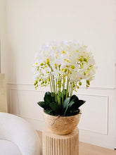 Laden Sie das Bild in den Galerie-Viewer, VICKY YAO Design -Bespoke Luxury Floral Design Elegant Shell-Finish Planter with 18 Stem Real Touch Orchid Arrangement W55xH78cm