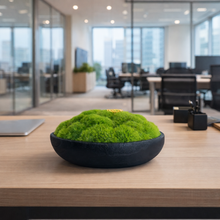 將圖片載入圖庫檢視器 VICKY YAO Design Aesthetic - Real Preserved Moss Black Bowl Centerpiece,Wabisabi Style The FOREST Black Bowl Moss Centerpiece
