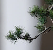 Load image into Gallery viewer, VICKY YAO - Artificial Bonsai Tree Pine with Real Trunk Fake Plant Indoor Decoration, Zen Japanese Home Decor 55x 28 x 68cmH