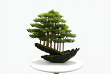画像をギャラリービューアに読み込む, VICKY YAO Fine Bonsai - Handcrafted Bonsai Tree Sculpture Artificial Bonsai with Natural Wood Base Preserved Moss Zen Decor L65xW30xH66cm