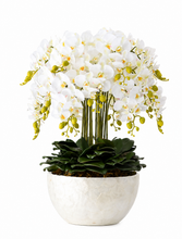 画像をギャラリービューアに読み込む, VICKY YAO Design -Bespoke Luxury Floral Design Elegant Shell-Finish Planter with 18 Stem Real Touch Orchid Arrangement W55xH78cm