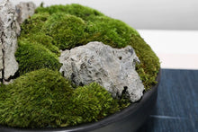 將圖片載入圖庫檢視器 VICKY YAO - Decorative Trays Black Moss Bowl Moss Gifts for Centerpiece Home Office Decor Custom Unique Gift Decorative Bowl Decor Gifts