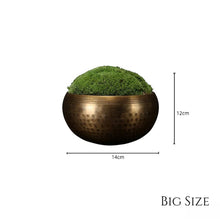 Load image into Gallery viewer, VICKY YAO - New Arrival Exclusive Design Real Preserved Moss Brass Bowl Art