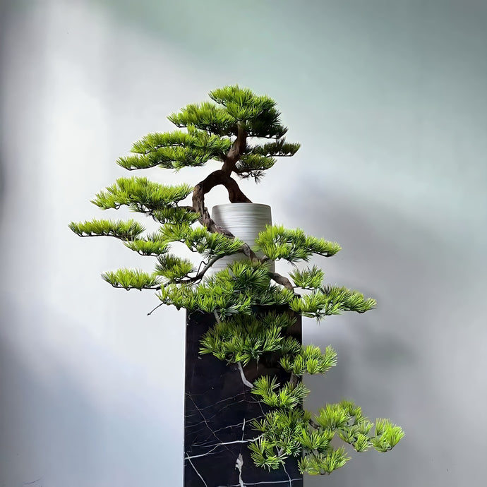 VICKY YAO - Realistic Japanese Black Pine Bonsai – Handcrafted Faux Tree in Ceramic Pot