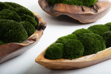 Load image into Gallery viewer, VICKY YAO Design Aesthetic - Real Preserved Moss Bowl Centerpiece, Unique form , table centerpiece The FOREST Bowl.  Moss Centerpiece. D30cm