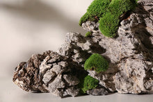 Load image into Gallery viewer, VICKY YAO Bonsai Project - Realistic Juniper Bonsai for New Chinese &amp; Japanese Style Restaurant customizable in any size. UV-resistant, waterproof indoor outdoor