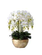 画像をギャラリービューアに読み込む, VICKY YAO Design -Bespoke Luxury Floral Design Elegant Shell-Finish Planter with 18 Stem Real Touch Orchid Arrangement W55xH78cm