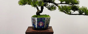 VICKY YAO Design Aesthetic - Exclusive Design Enamel Craft Basic Faux Bonsai Art 35x14x20