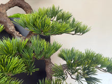 將圖片載入圖庫檢視器 VICKY YAO - Exclusive Design Luxury Handmade Realistic Bonsai Floor Sculpture with Black Pedestal Hotel Style Artificial Bonsai Tree