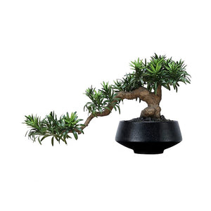 VICKY YAO Design Aesthetic - Mini Realistic Buddha Pine Bonsai 47x15x28cm