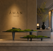 將圖片載入圖庫檢視器 VICKY YAO  - Modern Zen Moss Centerpiece | Elevated Tabletop Landscape Art Japanese Inspired Table Decor Home &amp; Office Decor Wabisabi Design