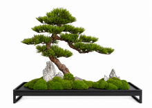 Load image into Gallery viewer, VICK YAO - Luxury Hotel Bonsai Art | Aman-Inspired Zen Interior Sculpture
L71 x D25 x H52cm