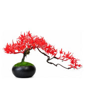 Load image into Gallery viewer, VICKY YAO Design Aesthetic - Handmade Red artificial maple leaf in Realistic Pot Bonsai Art 45 x 21 x 25cmH